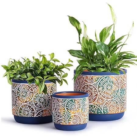 pots de fleurs